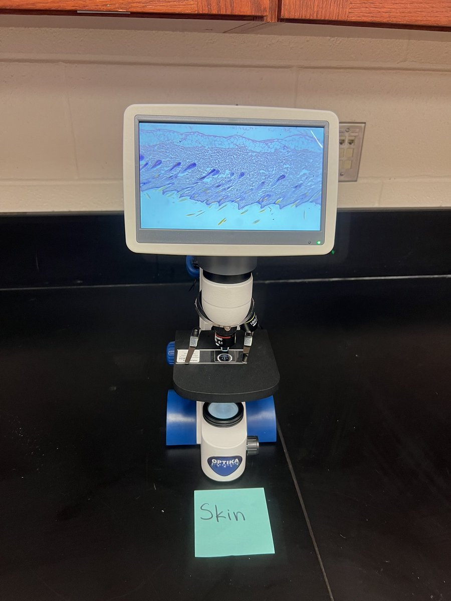 Kristen Adams tweet media