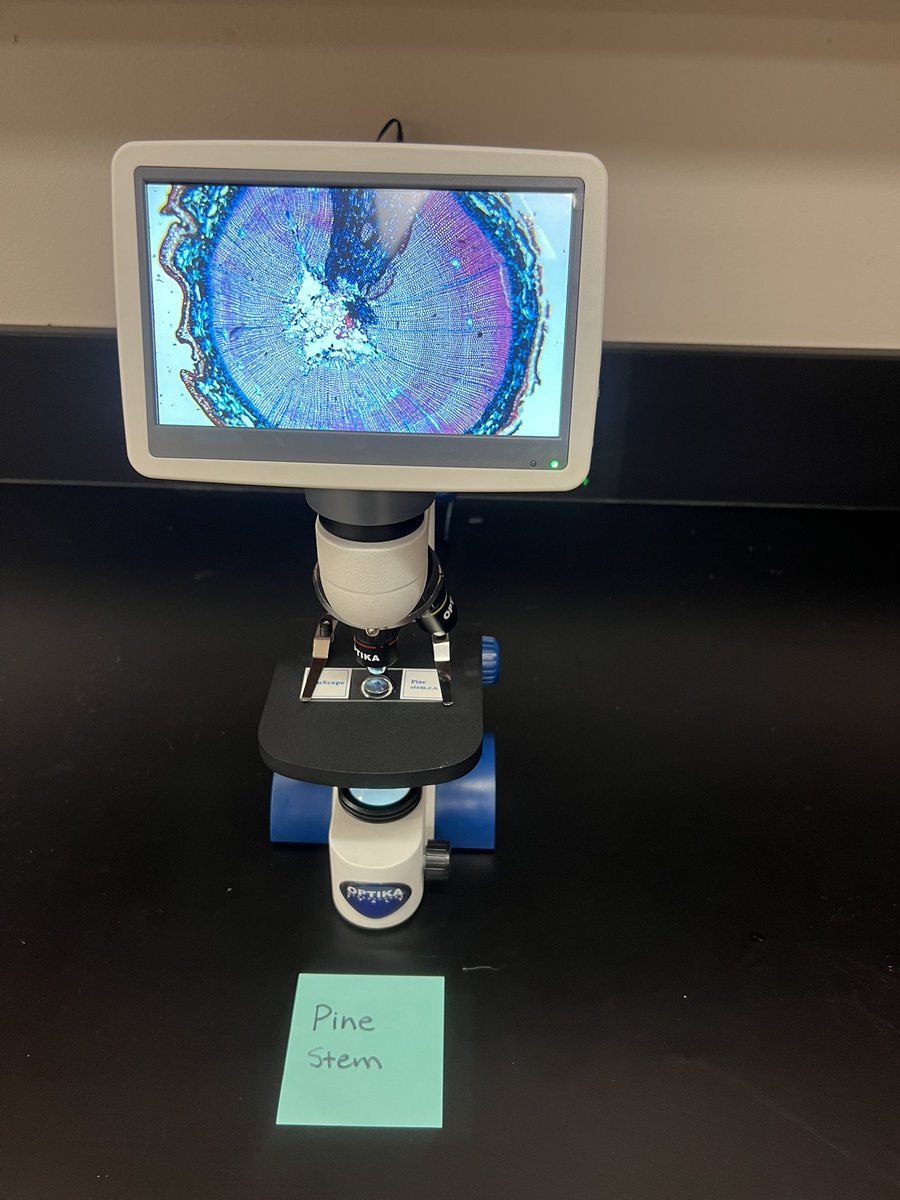 Kristen Adams tweet media