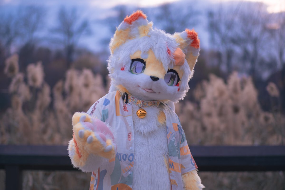 Tidal_Rui's tweet photo. 最近怎么样呀，有没有什么想和我聊一聊的~
#furry #fursuit #兽装 #福瑞 #福瑞控 https://t.co/Nvg2PUCv0Y