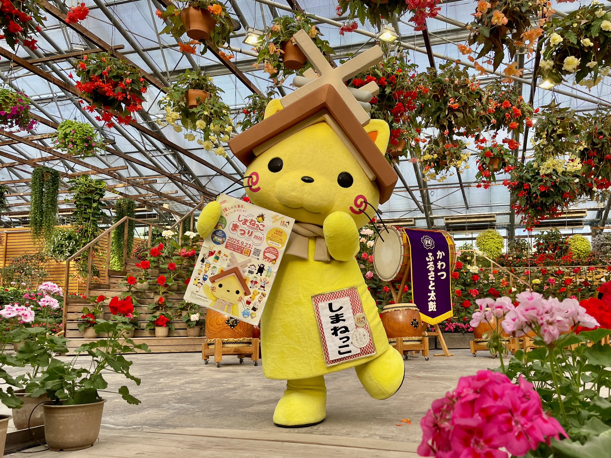 しまねっこ フィギュア ご当地キャラクター しまねっこ