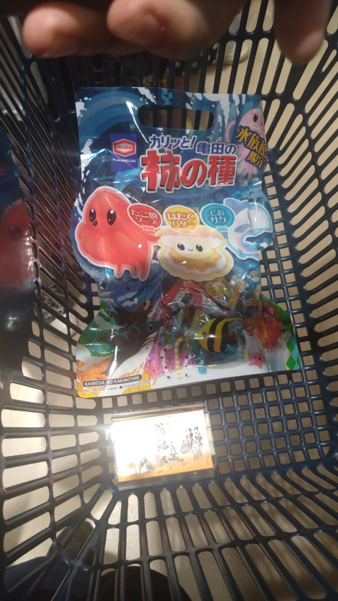 kakoさま専用 蜃気楼の光 ほか　2点おまとめ 蜃気楼観測‎𓂃◌𓈒𓐍◌ 2025.5.14（Cランク） #蜃気楼の見える街
