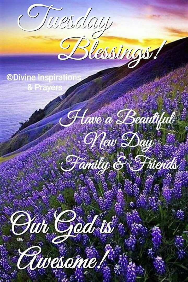 HicksGhicksharr's tweet photo. Evg Gloria Hicks-Harris 
Ministries🙏🏼
GM, Blessings And Love 
1 Timothy 6:10
10 For the love of money is the root of all evil: which while some coveted after, they have erred from the faith, and pierced themselves through with many sorrows.🌹
Have A Bountiful  And Generous Day 😘 https://t.co/YRxJRzRAH6