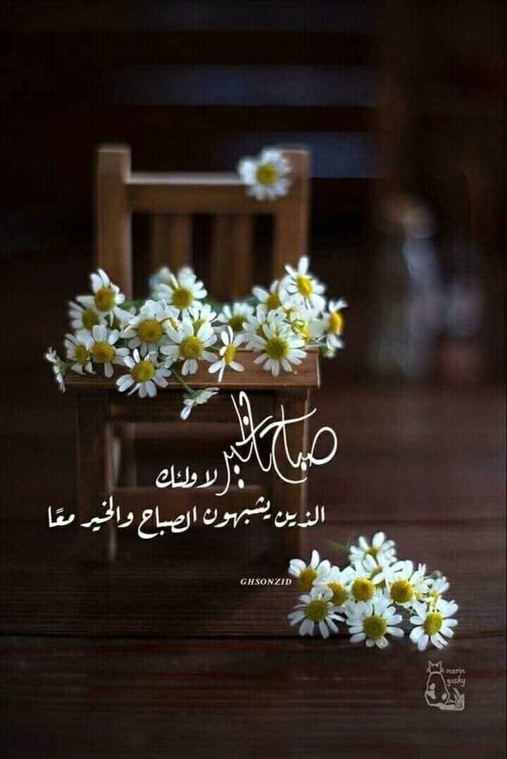 ✍ صباح الخير، للذين سڪنتهم الطمأنينة حين قرأوا : 
     "أليس الله بڪافٍ عبده 

اللهم اڪفنا بڪ عن من سواڪ
ولا تحوجنا لاحد غيرڪ ياالله 

✍ يومٌ جديد وإبتسامة شمس 
    ونفس تواقة لِنَيْل رضا الله
    ڪل الأمنيات لڪم بسعي موفق
    ورضا محقق ورزق ڪريم 

#صبــــــــاح_الخــــــير🌹