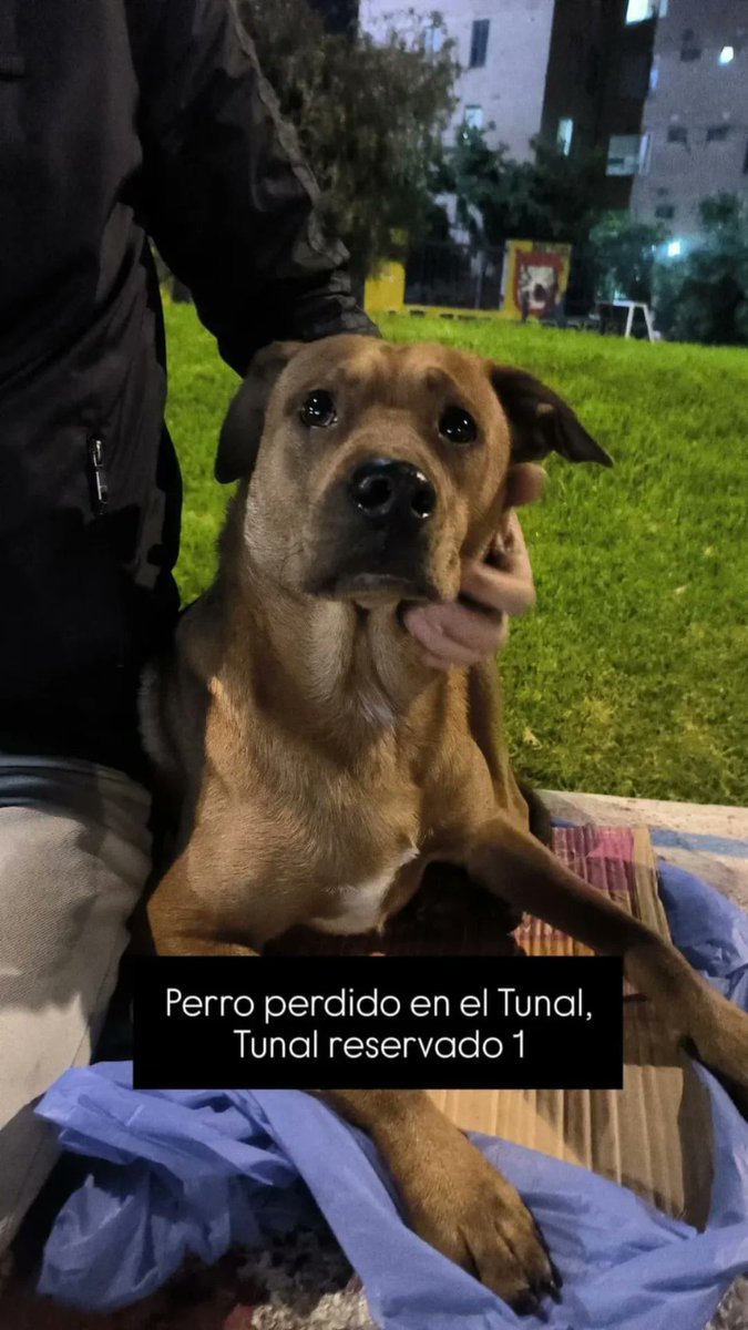 Jonathan Restrepo tweet media