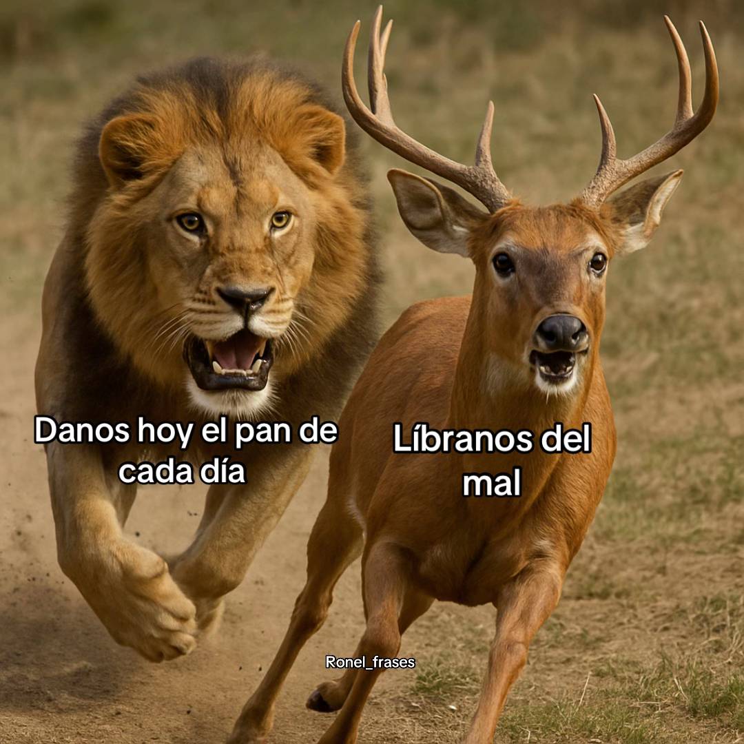 RubenGernhoffer's tweet photo. Lo que para ti es una bendición, para otro puede ser una amenaza. Por eso, es importante entender que nuestras acciones, decisiones o metas pueden afectar a otros de formas que no vemos; tener empatía y actuar con conciencia es lo que marca la diferencia entre avanzar у aplastar. https://t.co/BgZxFxsoNJ