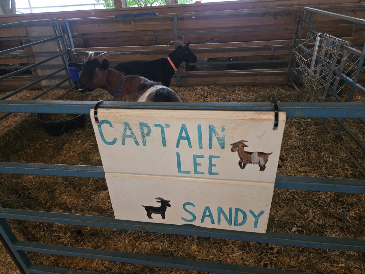 MarcieMac526's tweet photo. @capthlr At the county fair https://t.co/kIIC2sRg2E