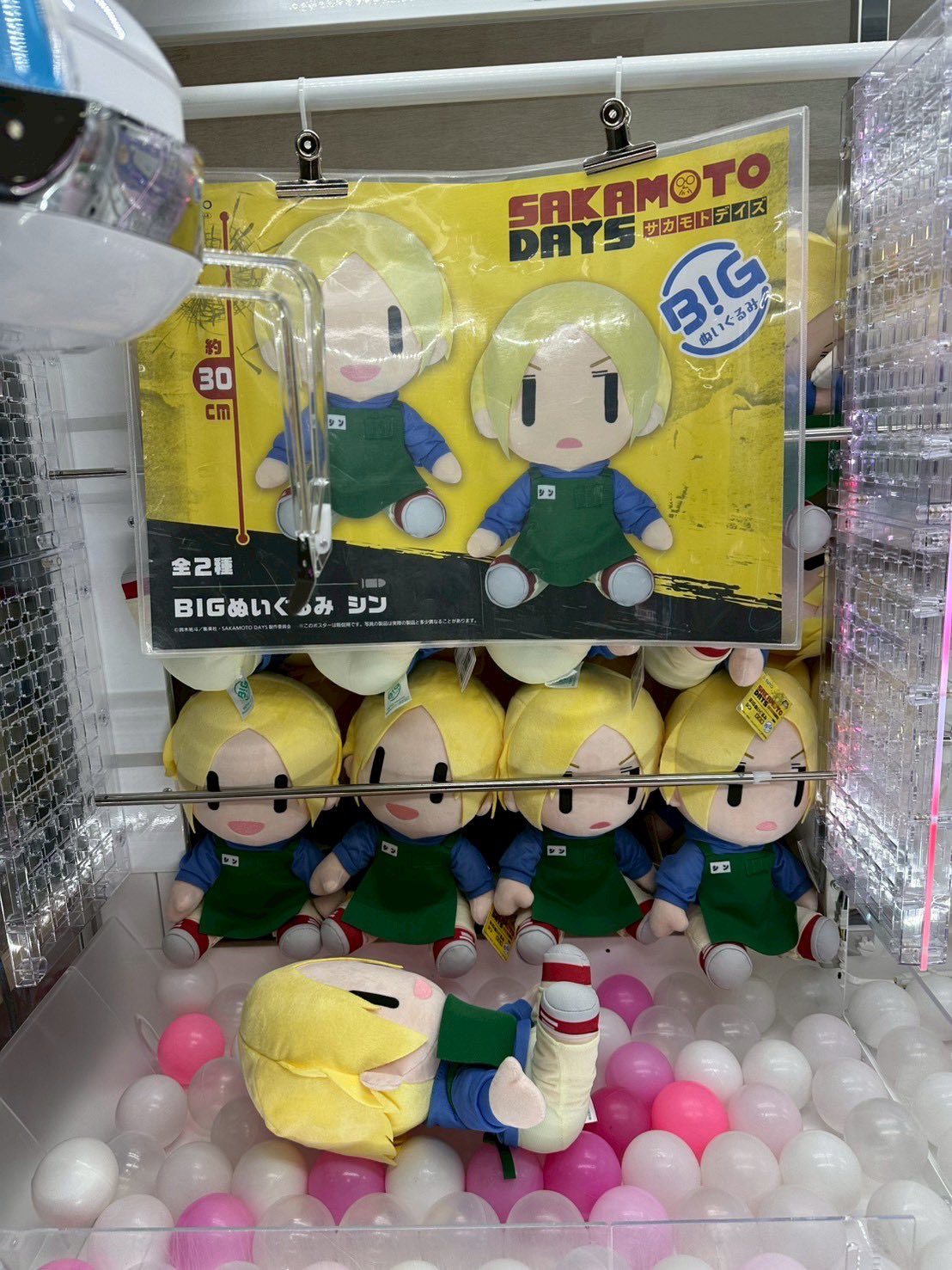 BIGぬいぐるみ セット 受注販売】BIGぬいぐるみ(FULL OF KOYA) KOYA – LINE FRIENDS