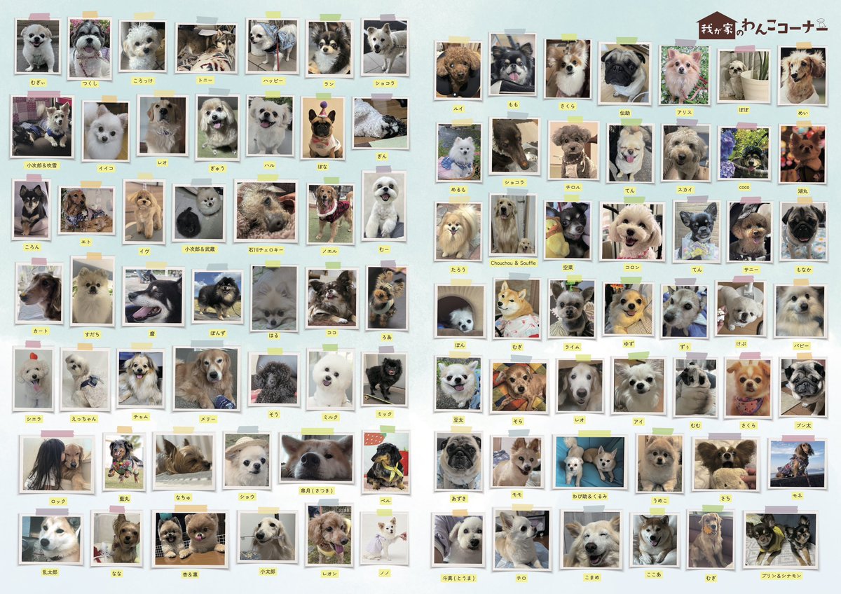 gekkan_wanko's tweet photo. 【当選者発表④🎊】
こちらの写真は月刊わんこvol.21（8/15発売）我が家のわんこコーナーに掲載されています👏🐶㊗️掲載されていたら是非リポストをお願いします✨
〈Amazon〉
通常版→https://t.co/oP2TdEcgvw
特別版→https://t.co/lQZ9wcBJYV

※ 当選発表は画像をご覧ください

@UxU95461899
@KotomiiPukpuk
@MeeMeeECILA
@LupuLudy1024
@mitsukimama0
@FSZ5TgC7oJJaPX9
@arimura_rrrryu
@26Naru76
@LArchola
@sakurayama06
@_wan_wan_land_
@Juli_Ishida
@mewandeevee
@0101plus1
@srx128
@jajaumahime
@12__4pa
@BVoqKknyVol1WuW
@_movere_crus_
@sekaiichi_po
@megu_moca
@consome0606