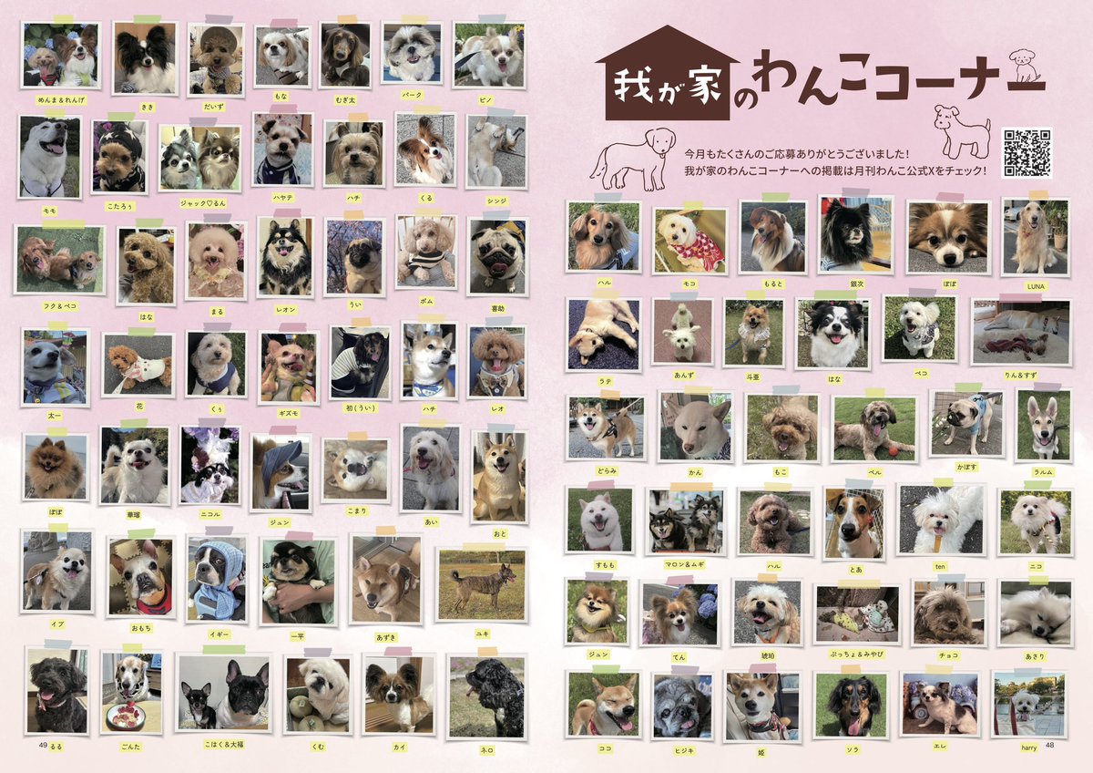 gekkan_wanko's tweet photo. 【当選者発表④🎊】
こちらの写真は月刊わんこvol.21（8/15発売）我が家のわんこコーナーに掲載されています👏🐶㊗️掲載されていたら是非リポストをお願いします✨
〈Amazon〉
通常版→https://t.co/oP2TdEcgvw
特別版→https://t.co/lQZ9wcBJYV

※ 当選発表は画像をご覧ください

@UxU95461899
@KotomiiPukpuk
@MeeMeeECILA
@LupuLudy1024
@mitsukimama0
@FSZ5TgC7oJJaPX9
@arimura_rrrryu
@26Naru76
@LArchola
@sakurayama06
@_wan_wan_land_
@Juli_Ishida
@mewandeevee
@0101plus1
@srx128
@jajaumahime
@12__4pa
@BVoqKknyVol1WuW
@_movere_crus_
@sekaiichi_po
@megu_moca
@consome0606