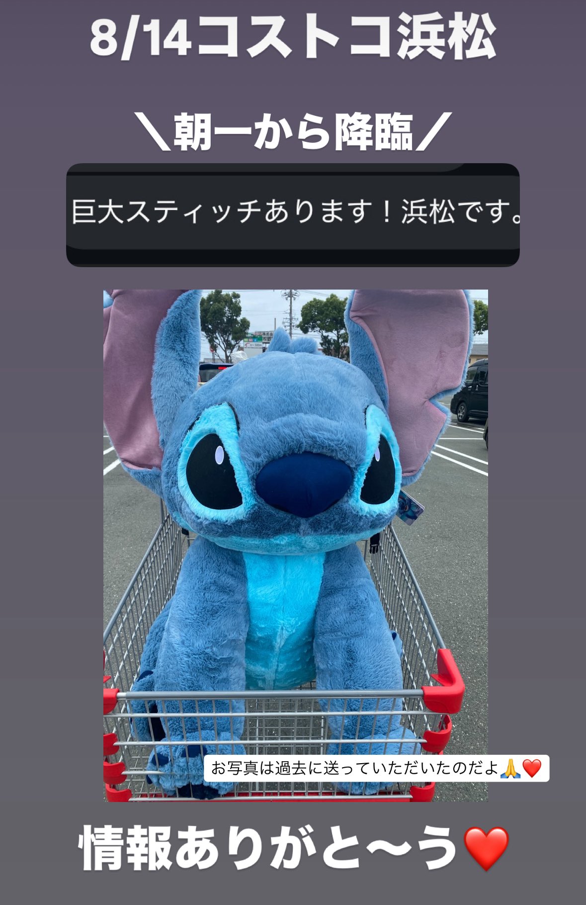 専用沙良さまスティッチ　コストコ コストコ」に巨大スティッチが登場！ でっかいカートがいっぱい