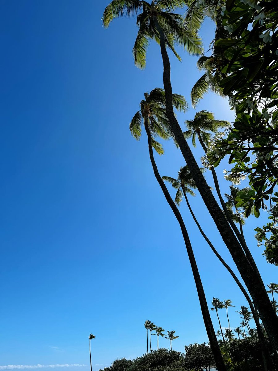solarkeem_bot2's tweet photo. [📸] 2025.08.14 

🌴

#솔라 #SOLAR
@RBW_MAMAMOO https://t.co/Oqqj7Dnkvv
