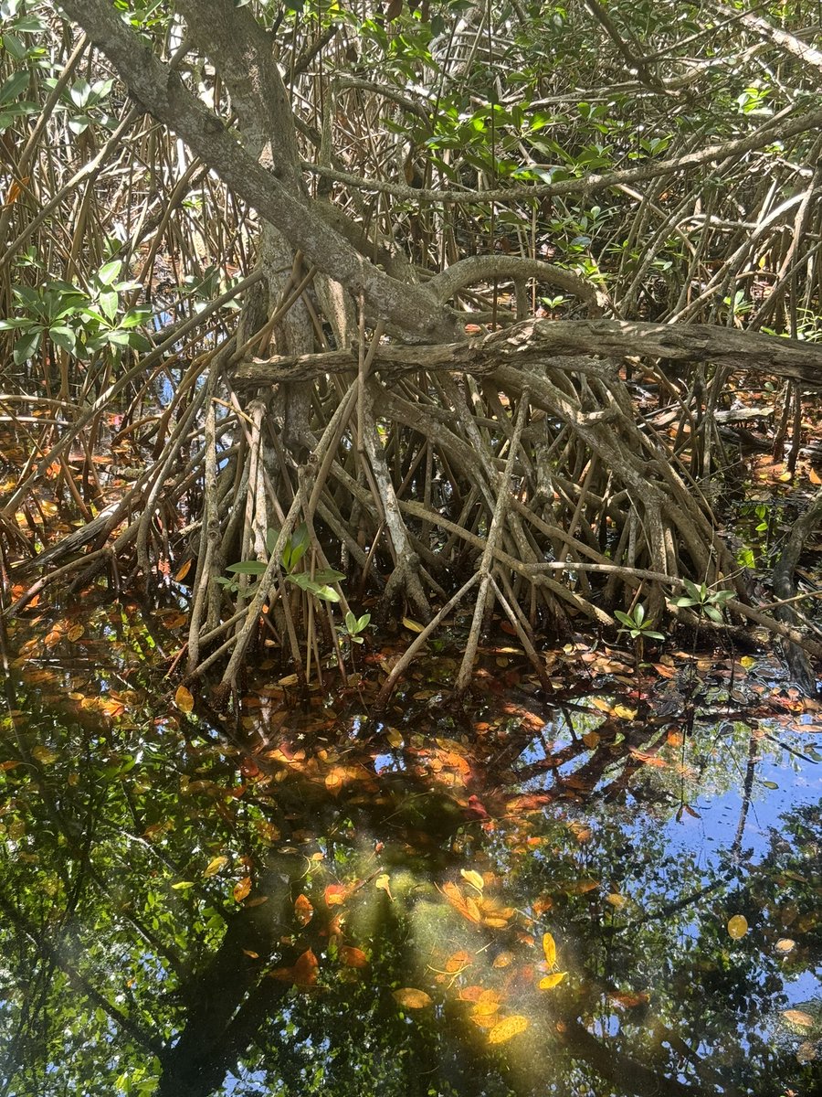 SandRamp.TGN tweet media