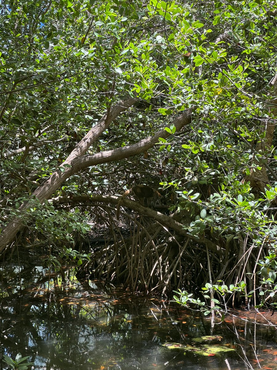 SandRamp.TGN tweet media