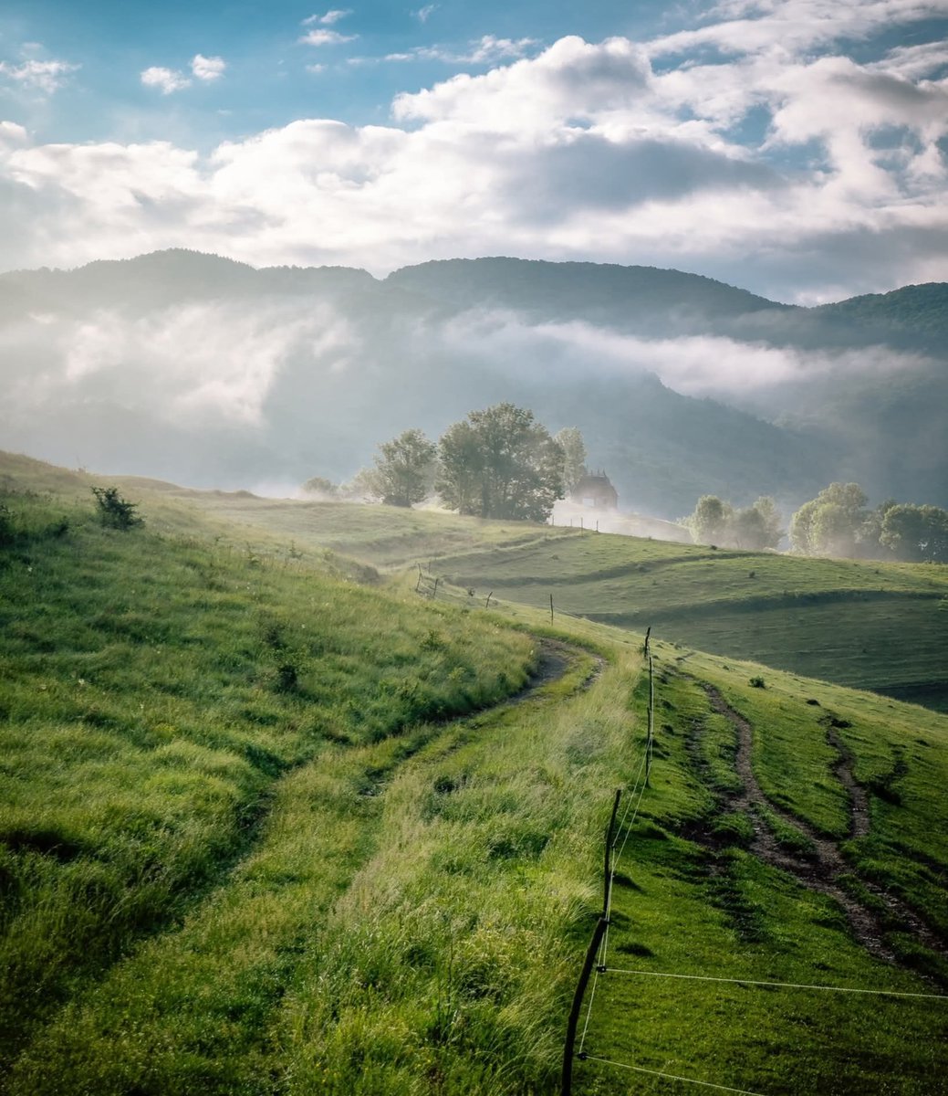 xyzwtf_55's tweet image. Good morning everyone 😊
#photography
#photographer
#hills 🇷🇴