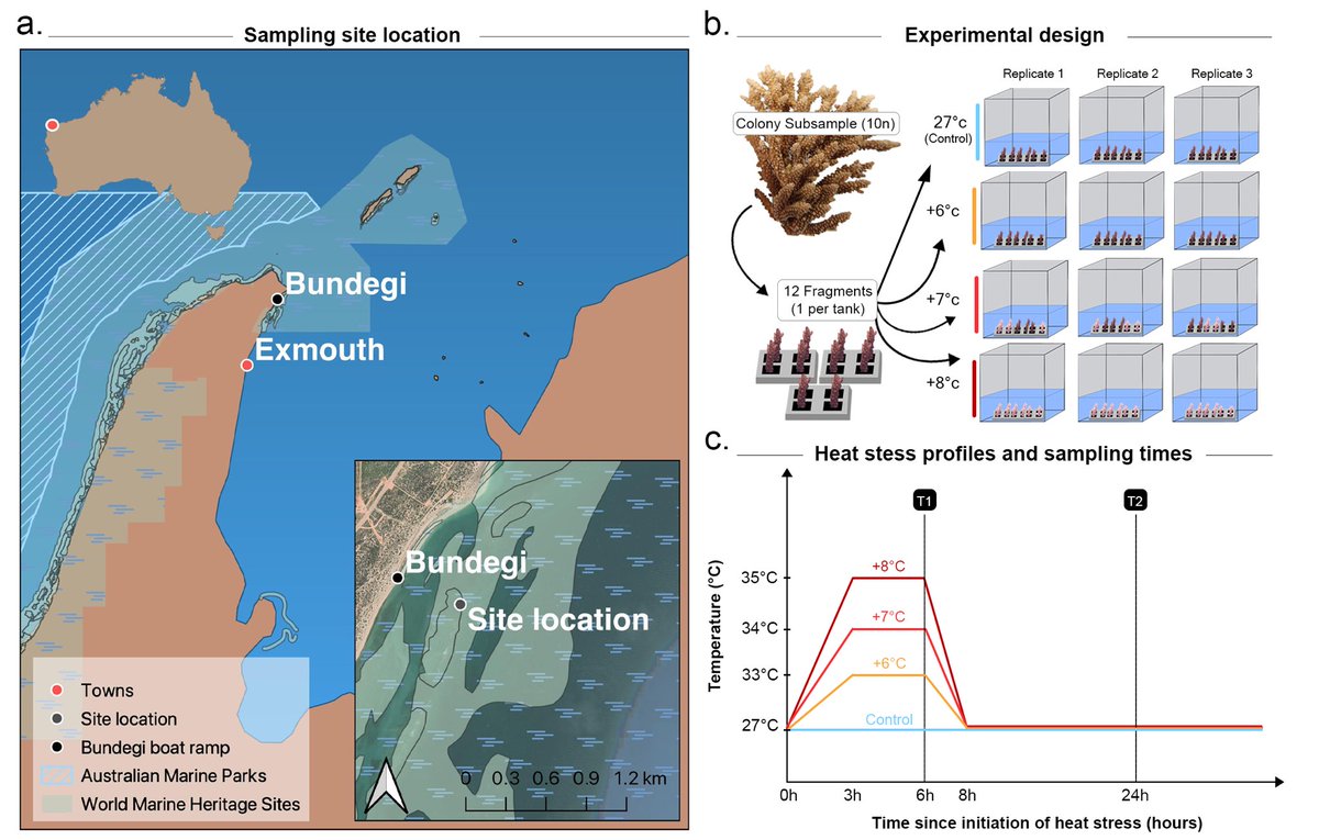 Declan Stick tweet media