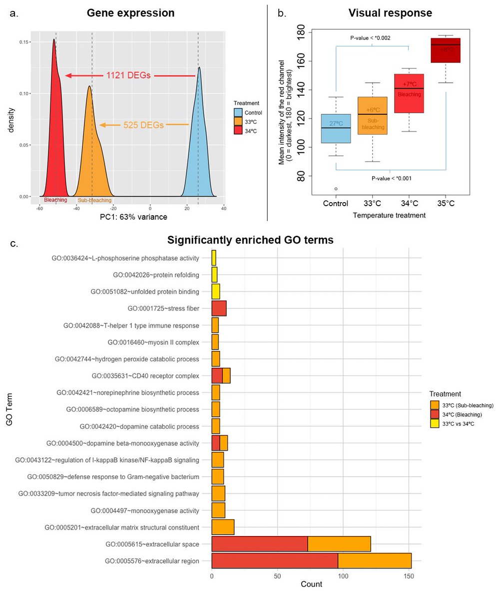Declan Stick tweet media