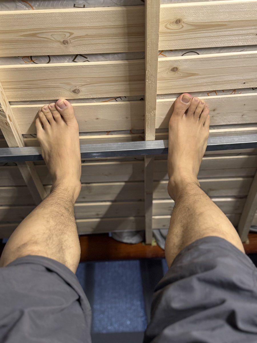 太久没发了  水一条