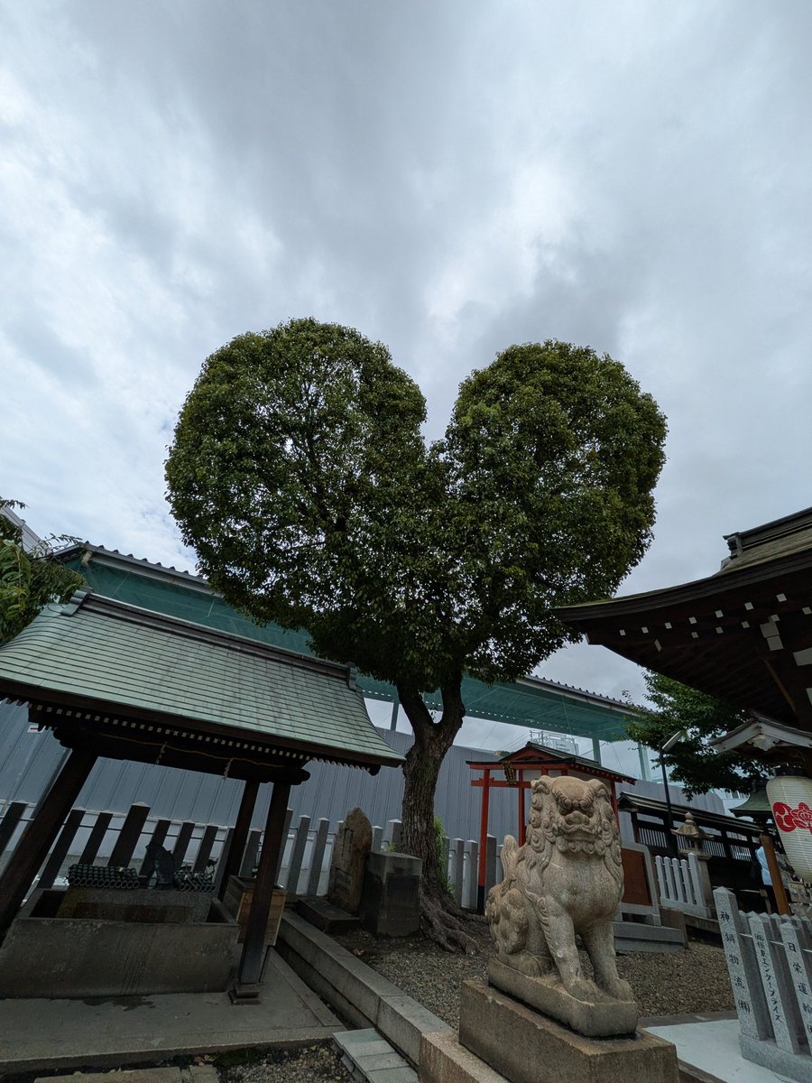 moto_mfp's tweet photo. ツイートで見かけたから
私も♥をアップ。 https://t.co/v3pyPoRETk