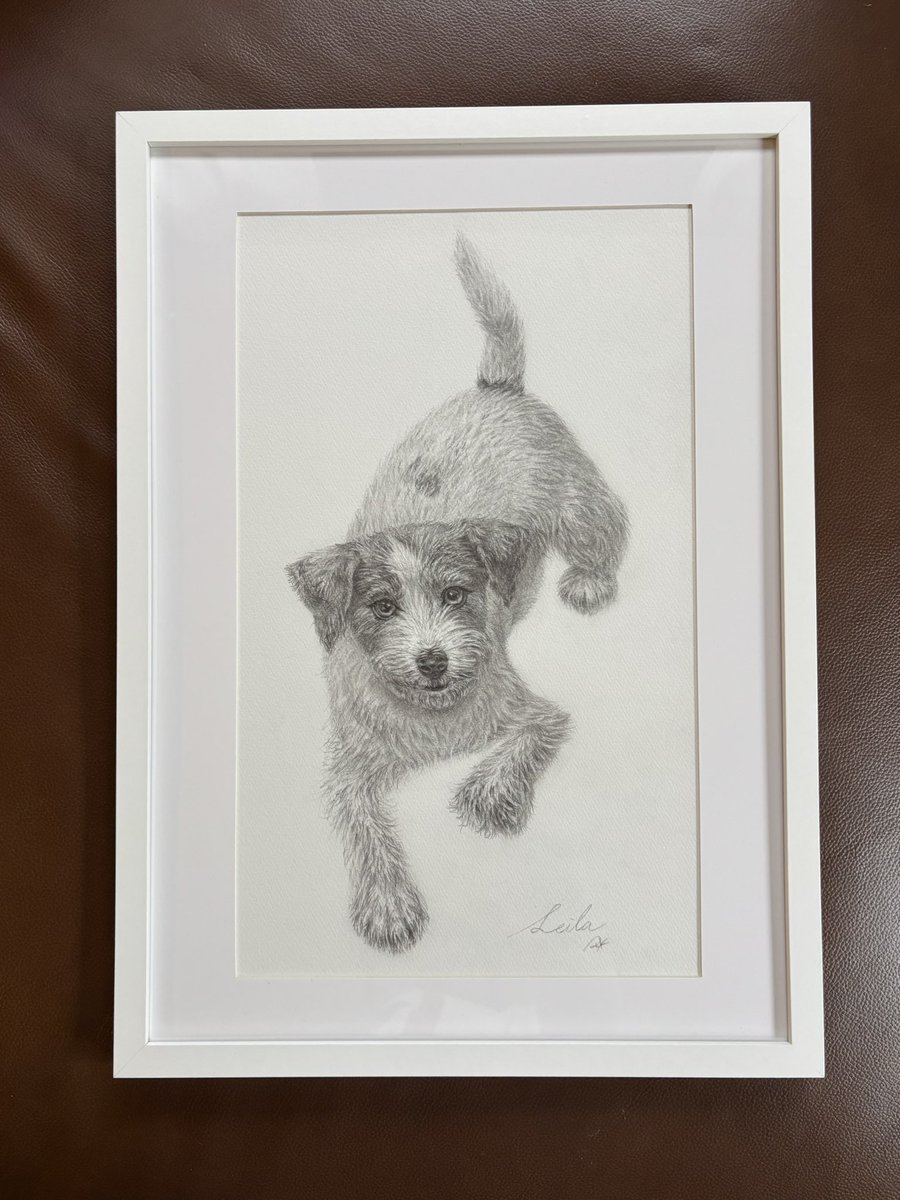 uchida_ryoka's tweet photo. オーダーいただき描きました🐾

#デッサン #dessin #dog #犬 #ジャックラッセルテリア https://t.co/ygVQtcVFmu