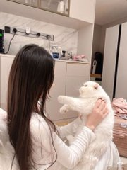 tanertopoglu's tweet image. 