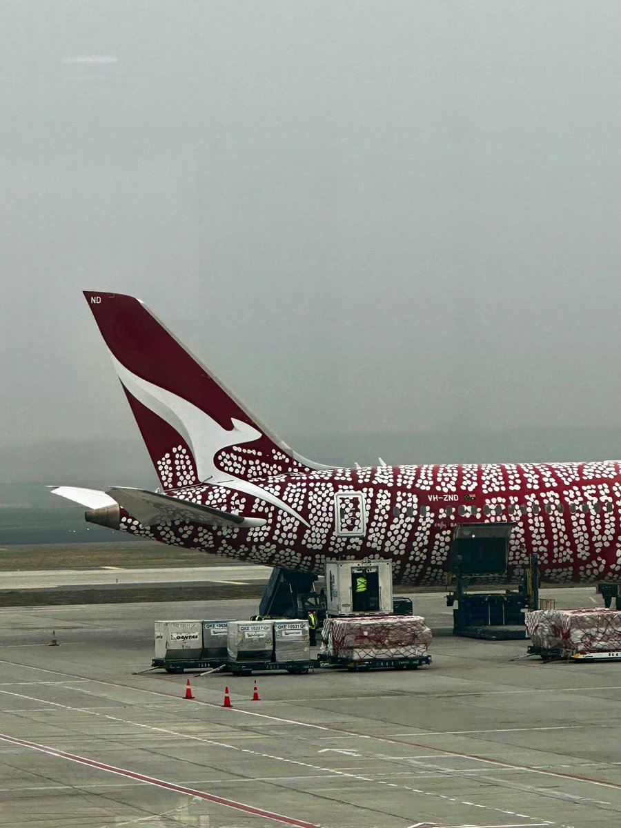 brtripreport's tweet photo. 🇺🇸 New #TripReport! Today, we’re flying with #Qantas on a #Boeing 787-9 from #Santiago 🇨🇱 to #Sydney 🇦🇺 in #BusinessClass 🥂 Check the link for the video and don’t forget to like, share and subscribe! ✈️ https://t.co/2rO13fQzOc https://t.co/43gxF157M2