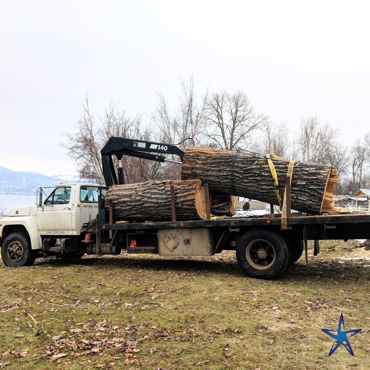 silverstartree's tweet image. 💪 Heavy Lifting, Done Right
Safe, efficient removal for even the biggest trees.
📞 Call today: silverstartree.com
#TreeRemoval #SilverStarTree #SafeTreeWork