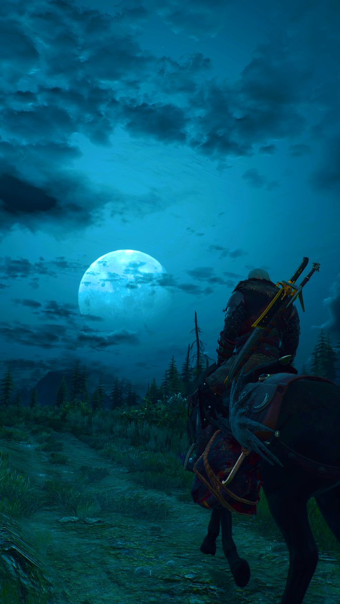 #TheWitcher3WildHunt #PS5Share #PhotoMode
