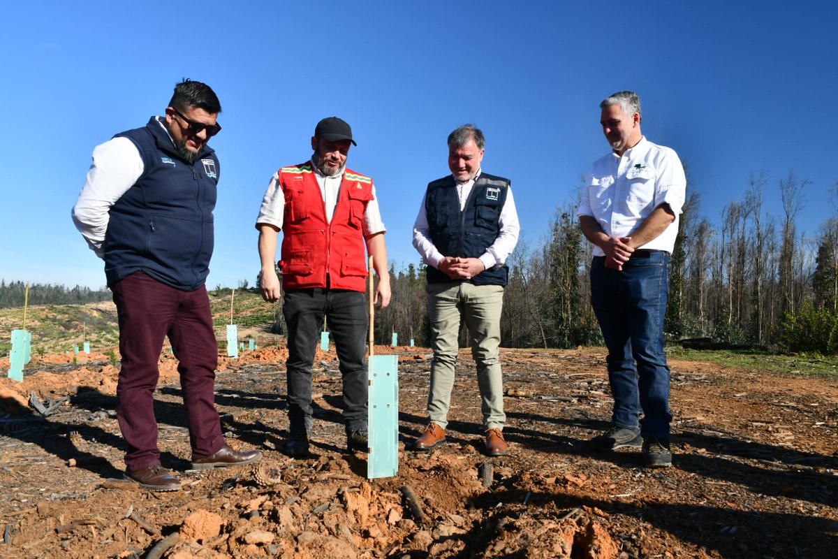 ¡Casi un 50 % de avance!

Autoridades inspeccionaron el nuevo proceso de reconversión de especies exóticas a nativas🌳que se está ejecutando en la Reserva Lago #Peñuelas, en el marco del Plan de Reconstrucción post megaincendio de 2024

➡️Se plantarán 70.000🌳nativos.

SIGUE👇