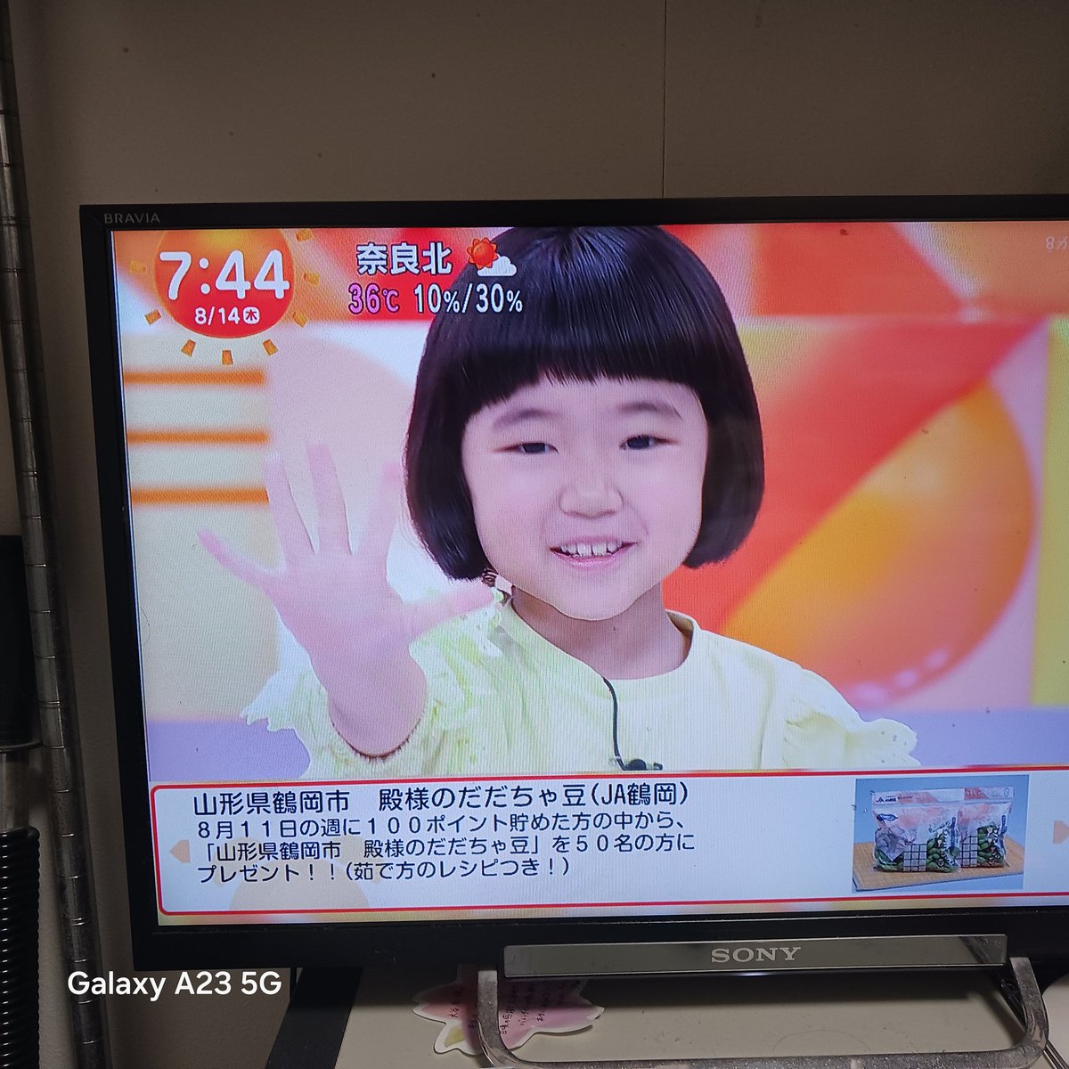 やっち 3戦目は✋を出したので、✌を出した人の勝ちです 柚乃ちゃんは✋でした