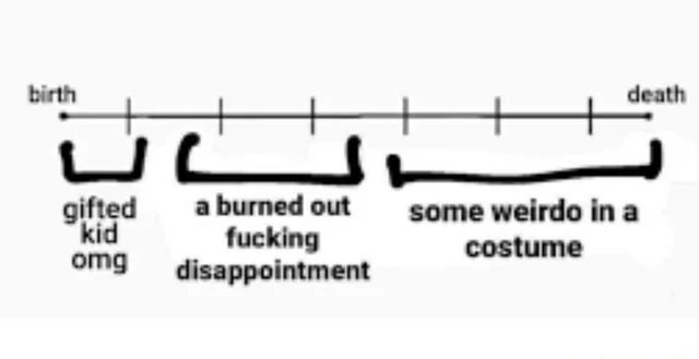 Orion the Bear (@oriontangobear) on Twitter photo 