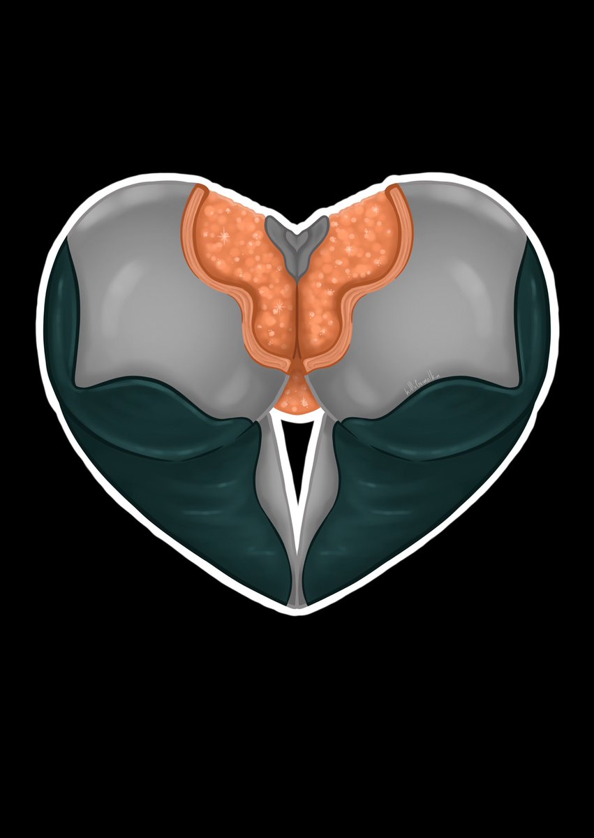 LittleGrimalkin's tweet photo. Citrine and Ember joining the booty heart line up :3

————

Done by me! Live on Twitch :3
#Warframe #warframefanart #tenno #tennocreate #procreate https://t.co/ZeXbw5Died