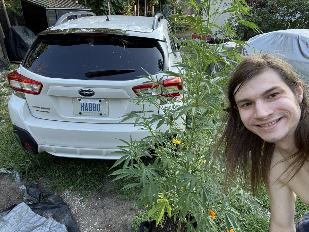 Carputing tweet media