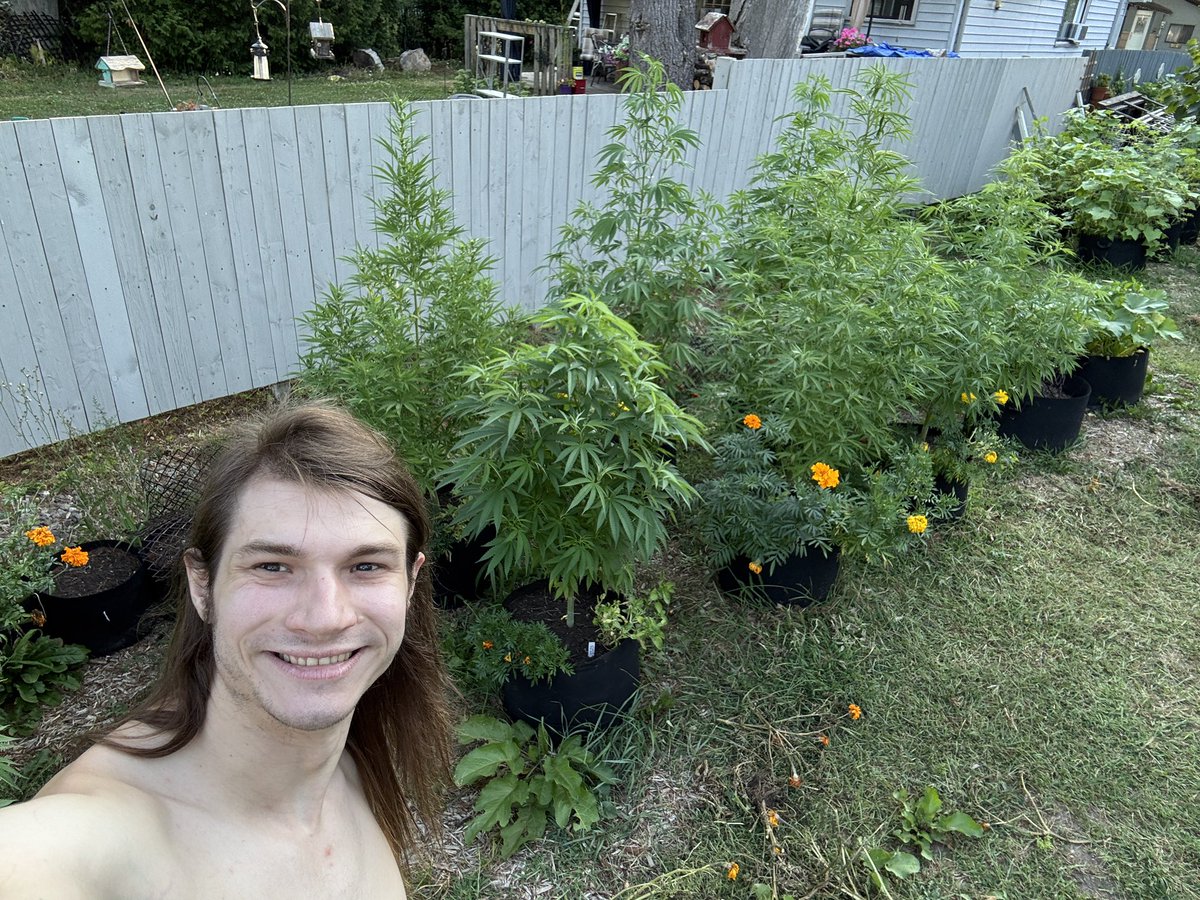 Carputing tweet media