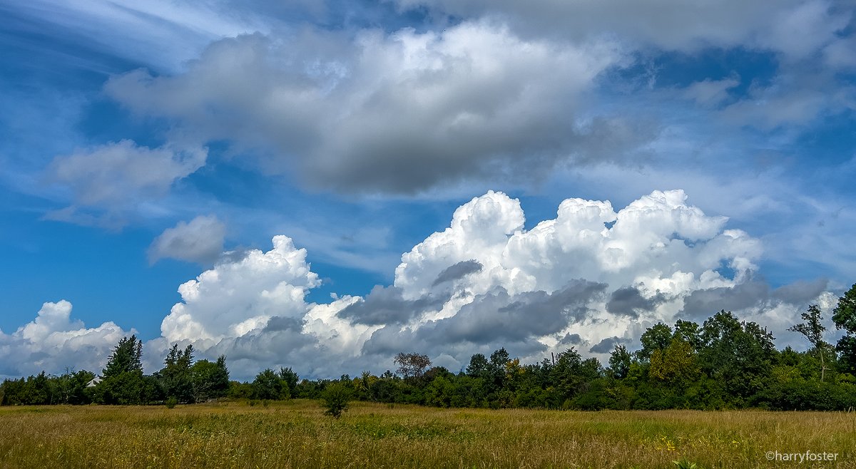 harry_fosters's tweet photo. Coming up the highway today just after 1pm, I just had to pull off the road and photograph these amazing #Cumulous #Clouds. They were spectacular. There were other types too but these ones got the prize. Such a nice change from the smoky boring skies of late.  #NaturePhotography https://t.co/tSGsaAjwax