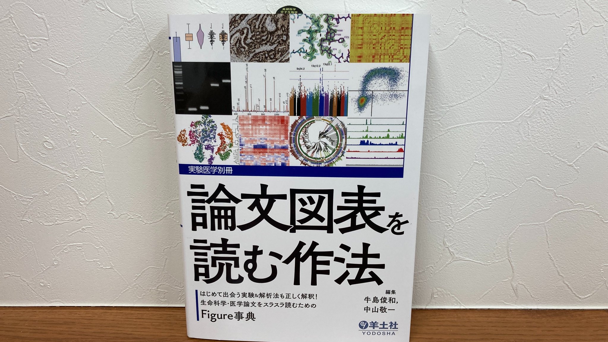 EU法の現状と発展 ゲオルク・レス教授65歳記念論文集 羊土社 営業部 on X: 