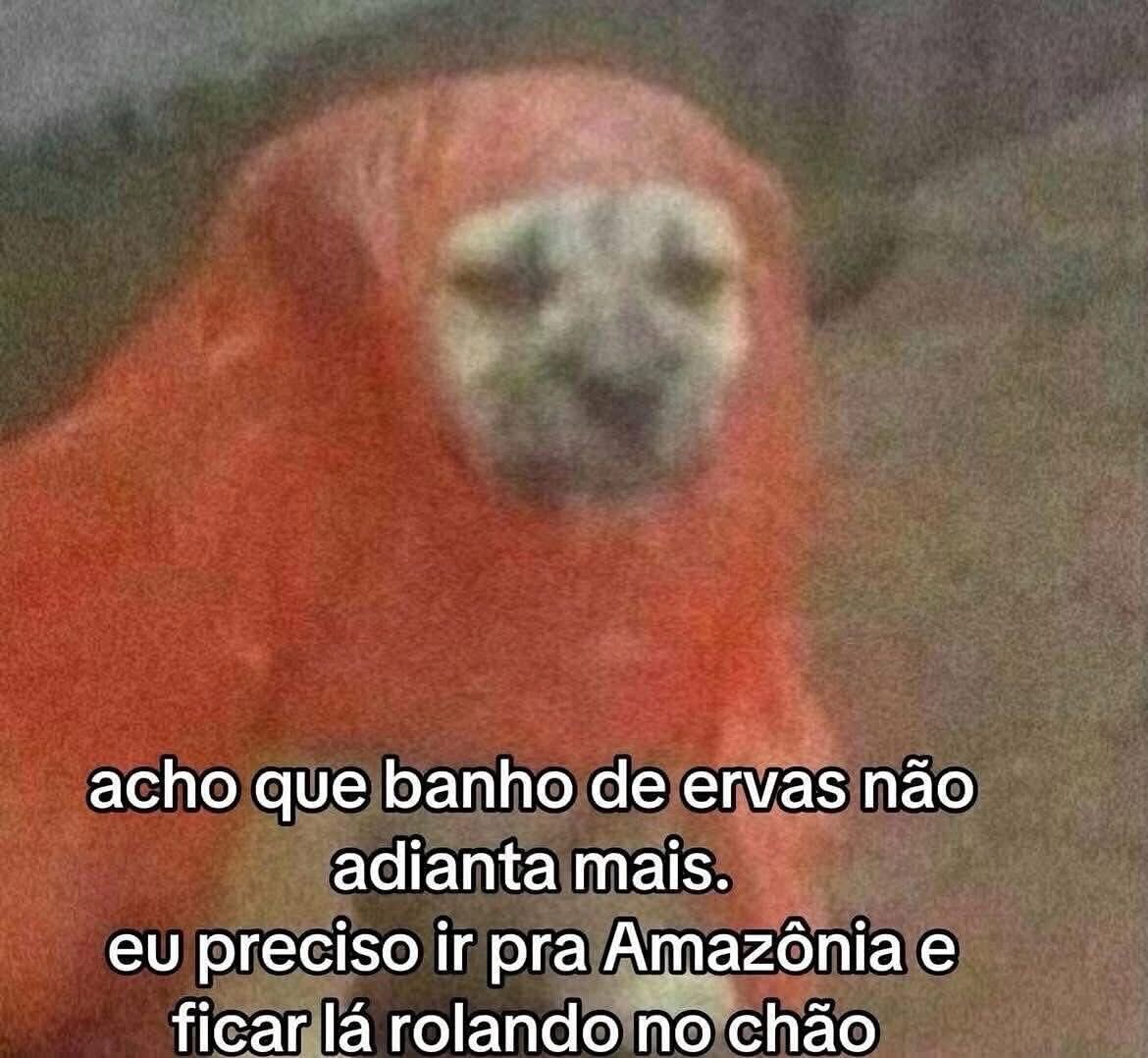 Pagina lixo (@paginalixo1) on Twitter photo 