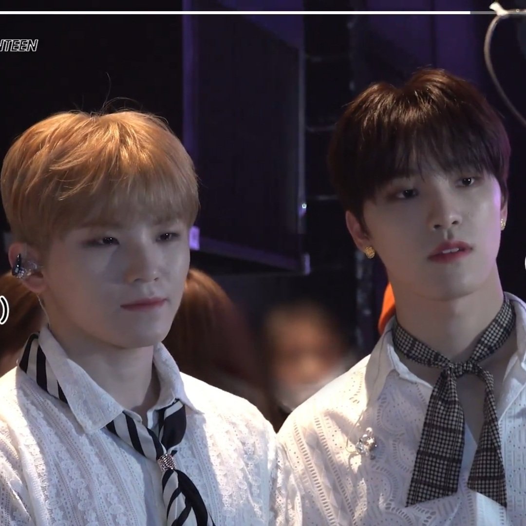 animal                                                    human