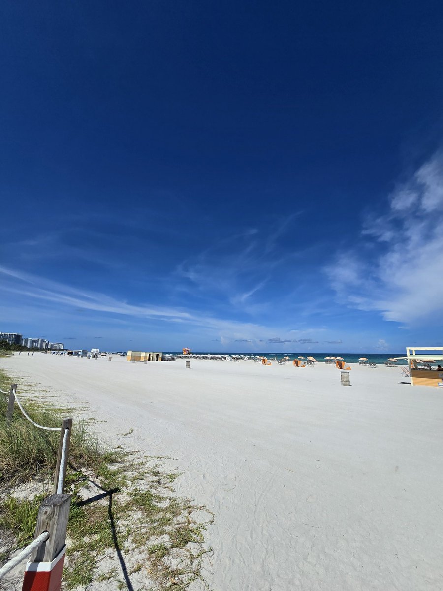 CorleoneSusd's tweet photo. +1 🥳 22yo at Miami Beach 🌴 https://t.co/dc8LpFraFO