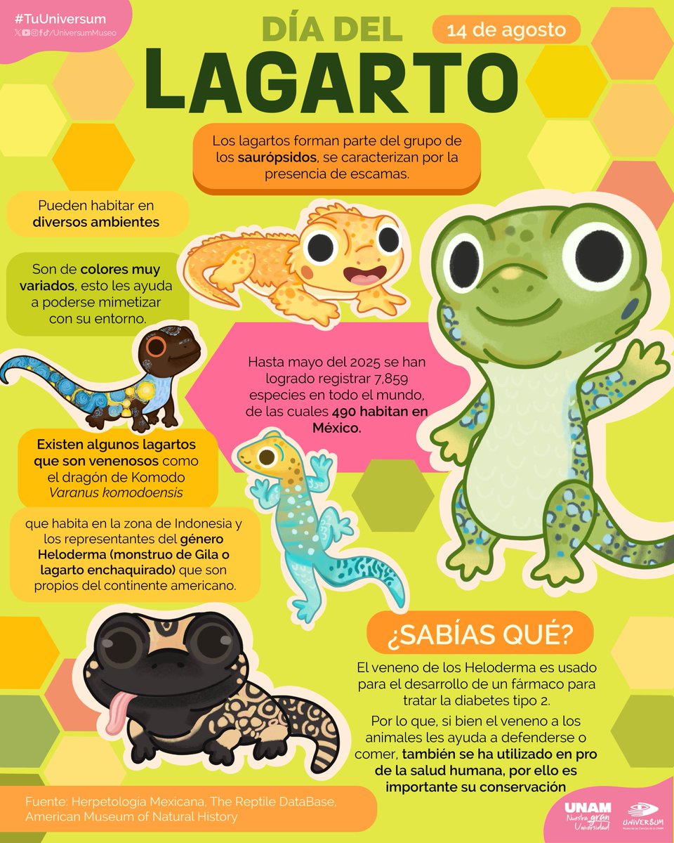 #UnDíaComoHoy es el Día Mundial del Lagarto 📷📷
Conoce a este grupo y sorpréndete con sus características 📷📷