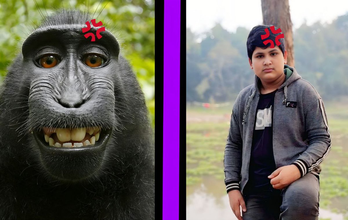 rabbionline1's tweet photo. From meme to reality — because laughter is better when it’s real! 💥🤣 #MemeIRL #TabizenLaughs #MemeRecreation 

@Lfuckjpg @Momoa_crypto @Tabichain @Tabizens https://t.co/lMwYRL7QHD