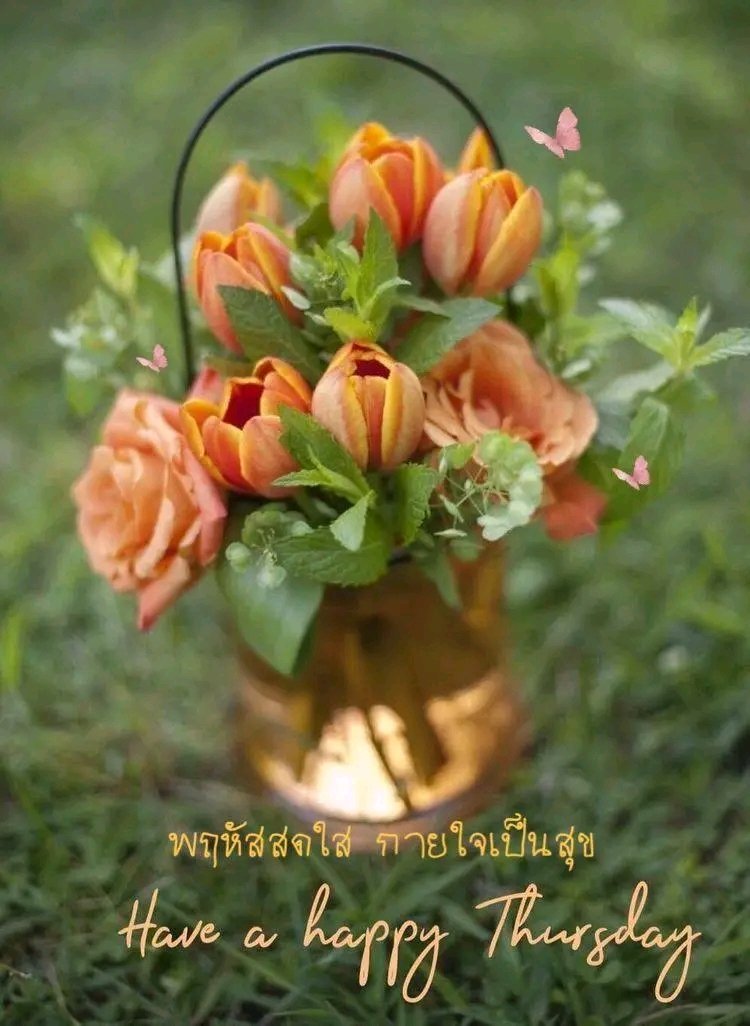 สวัสดีเช้าวันพฤหัสบดีค่ะ