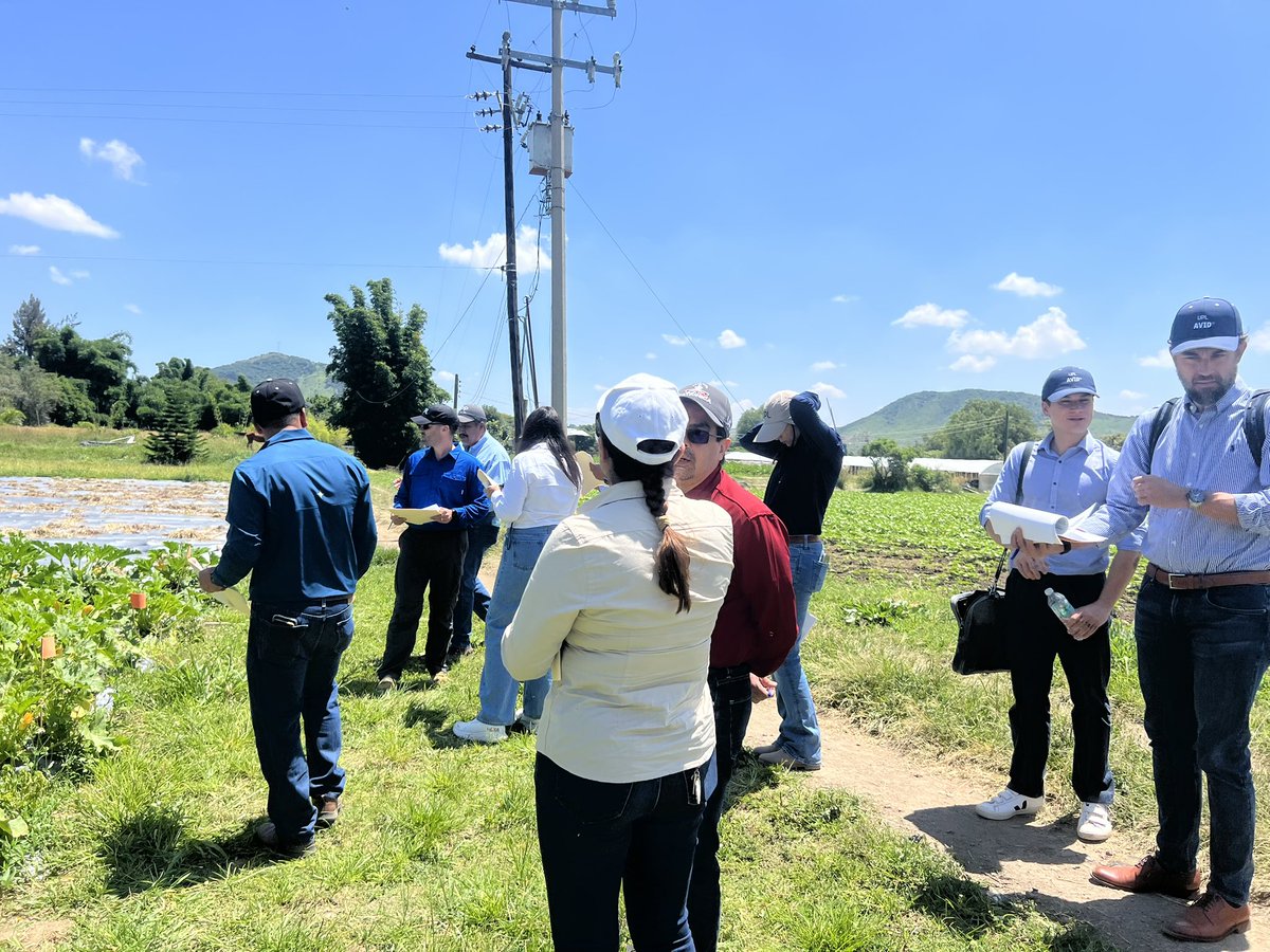 Poninaa's tweet photo. Mi primer recorrido de campo para Global 🌱🥹 https://t.co/zRnPldjOXe