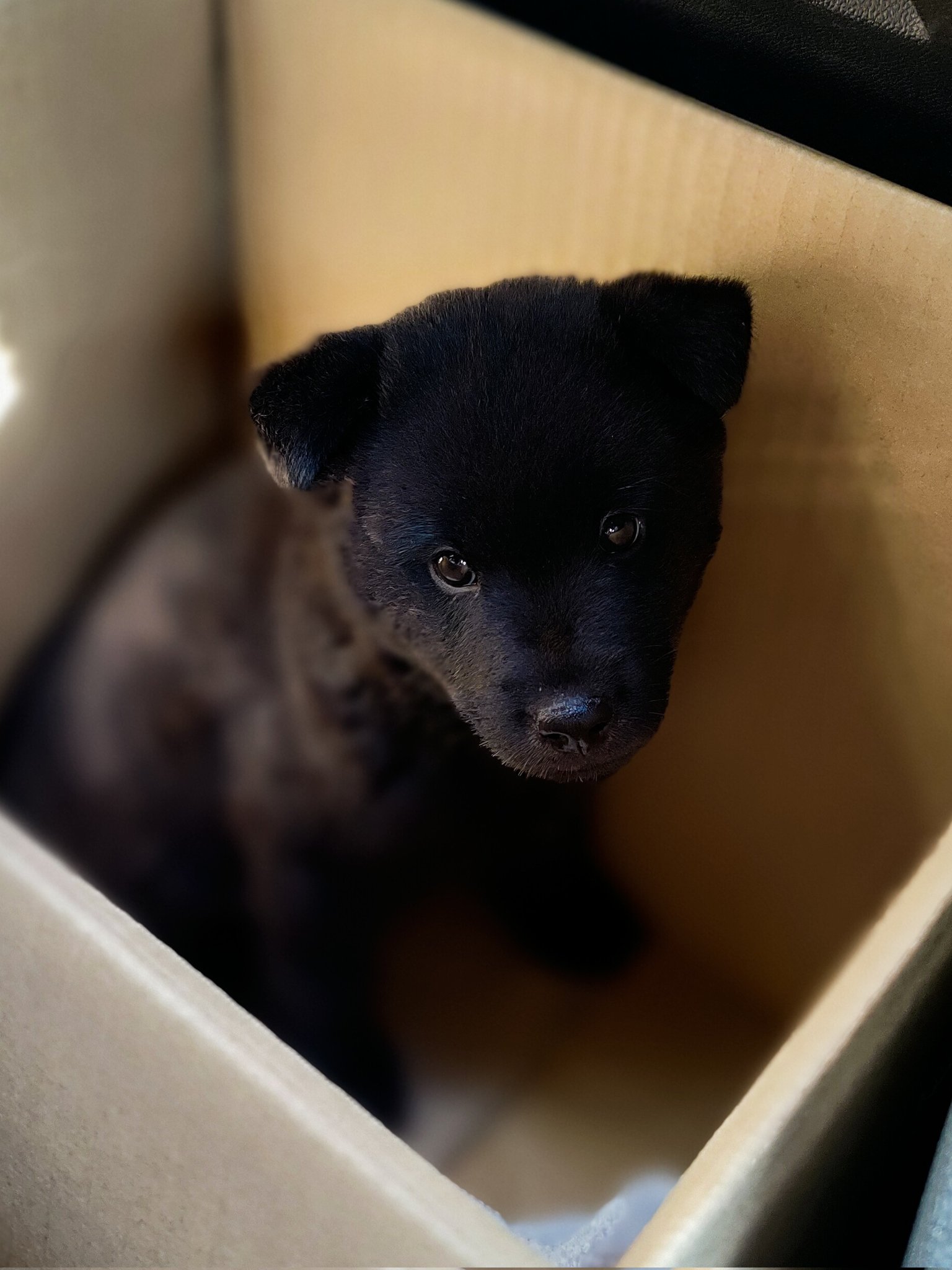 わたしの美しい戦場 わたしの美しい戦場』 寿木けい | 新潮社