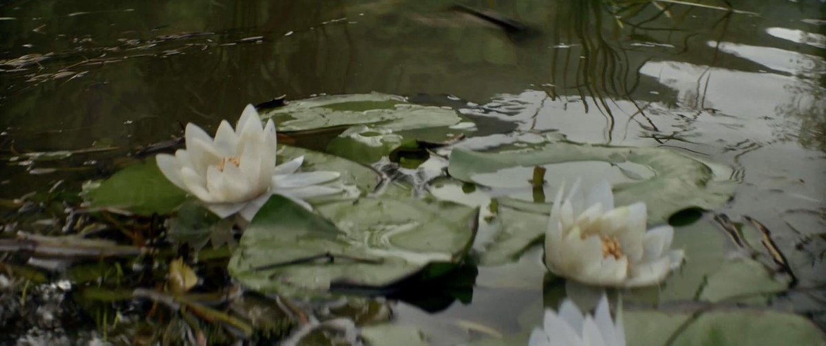 pridenprcjudice's tweet image. the fate of ophelia