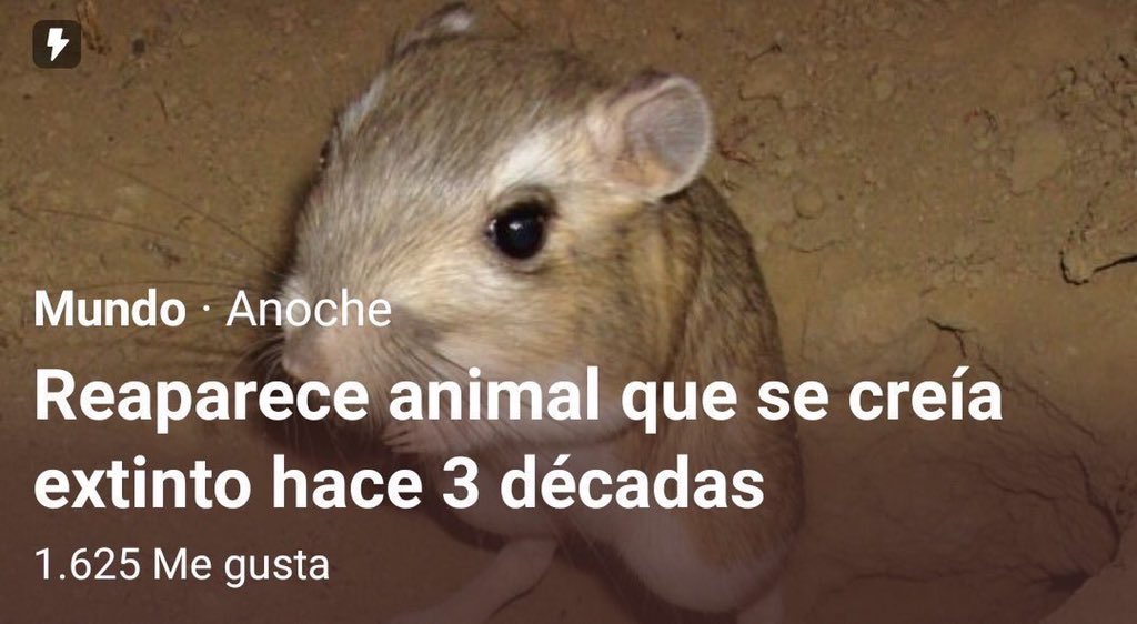 nanu 🇨🇱 (@onhbw) on Twitter photo 