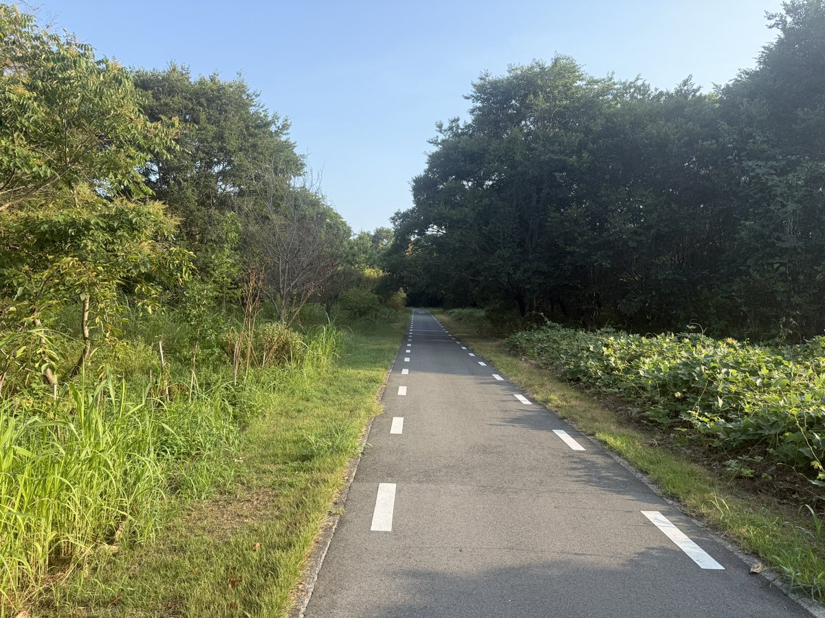 おはようございます。

今朝も7キロのランニングからのスタート。

今日も元気に頑張りましょう♪