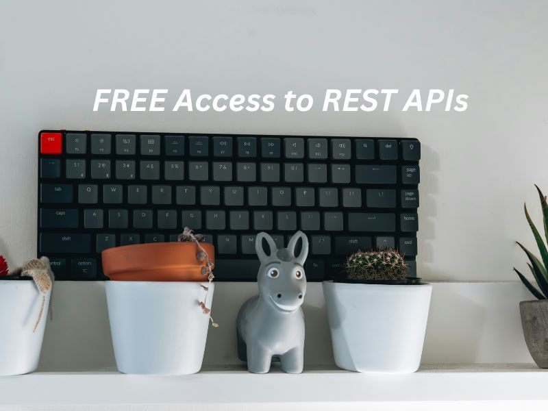 Global_SQA's tweet photo. REST APIs for Test Data 👇
Need fake ABNs, Credit Cards, IBANs, Passports?
Now available as REST APIs — FREE to use.
Perfect for integration, mocks &amp; automation.

Explore at: https://t.co/dicGa790w8 
#API #QATools #AutomationEngineer #SoftwareTesting https://t.co/F3ahp2FKxL