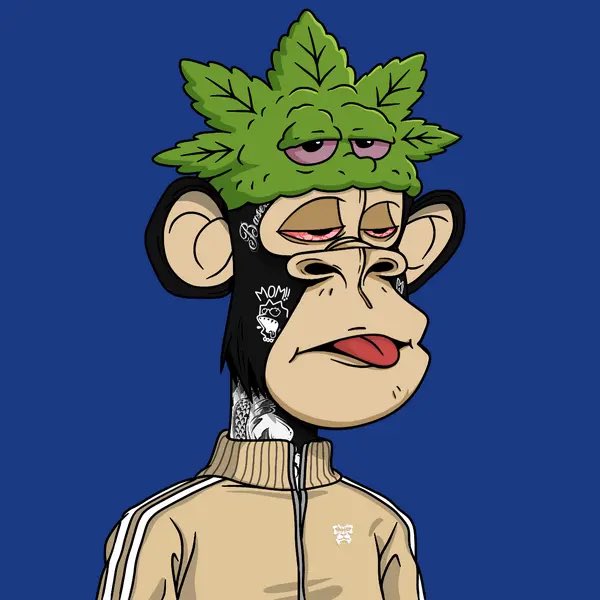 Hope everyone had a day

GANG

<a href="/BasedApeGang/">basedapegang</a>