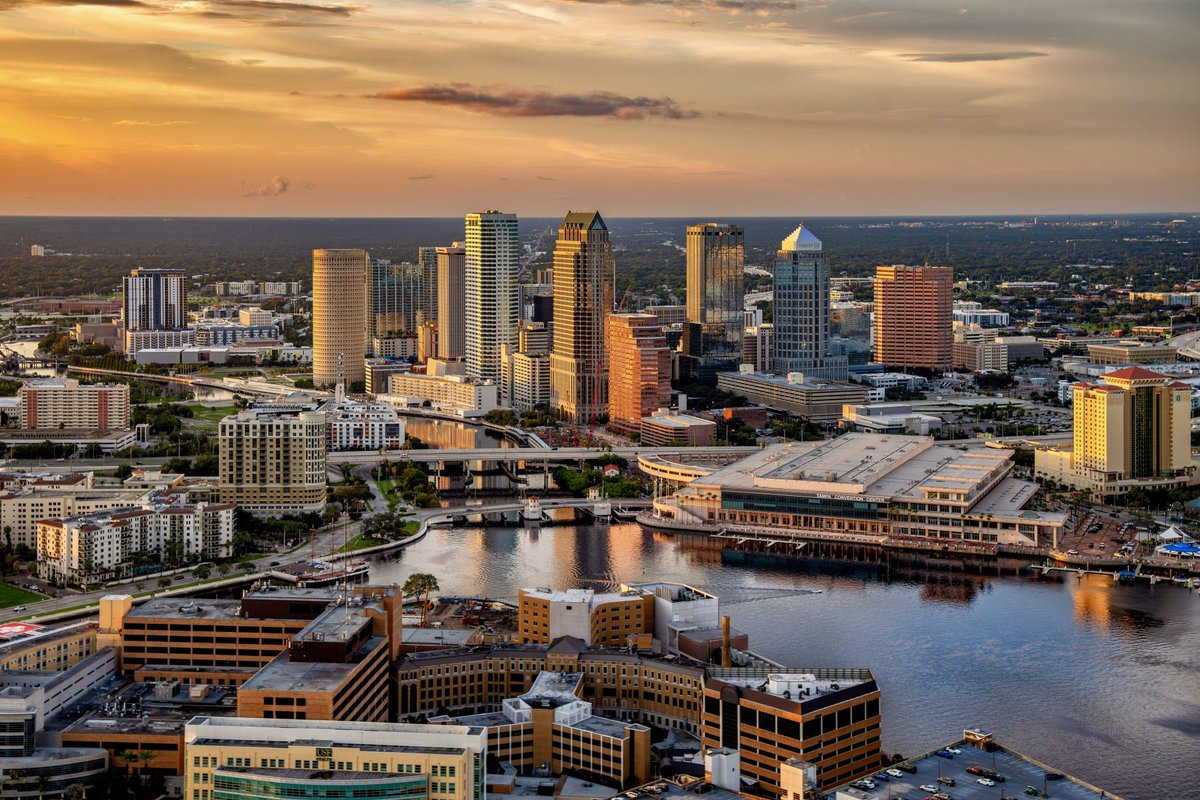 Southern Scenery tweet media
