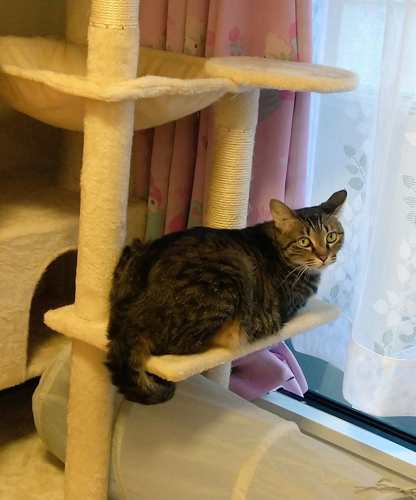 うちの子かわいい😻💕